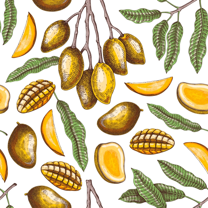 Ripe mango background. Tropical fruit seamless pattern in color. Hand drawn vector illustration. Exotic plant with fruit, leaves, branches sketches. Summer food design, juice packaging, wrapping paper
